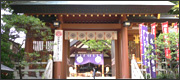 東京の観光・旅行−お寺・神社−