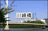 苴