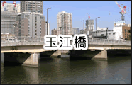 ʍ]
