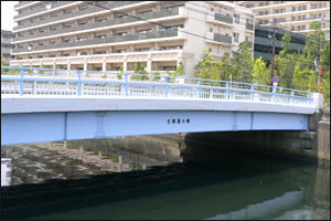 左専道大橋