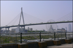 VێR勴