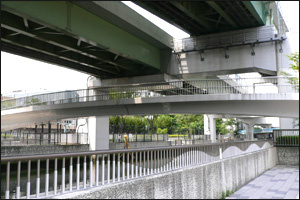 旭江野橋